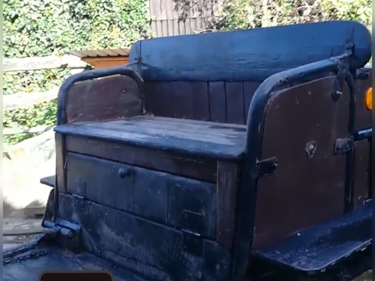 Carrozza per pony