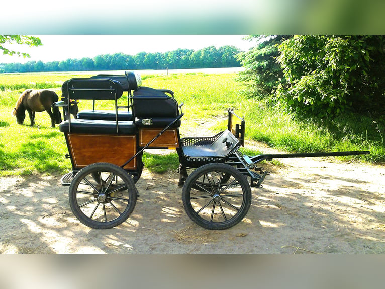 Carrozza per pony / piccoli cavalli