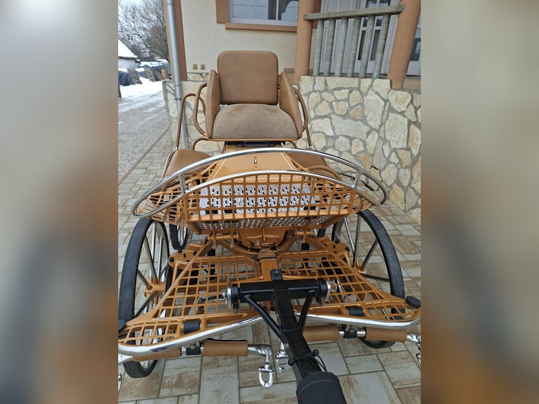 Dominiak pony pair marathon 