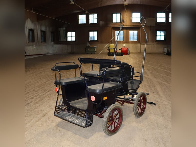 Kühnle Wagonette Kleinpferde Ein/Zweispänner Kutsche