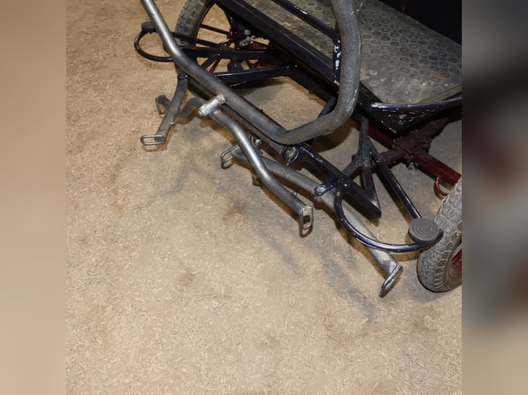 Kühnle Wagonette Kleinpferde Ein/Zweispänner Kutsche