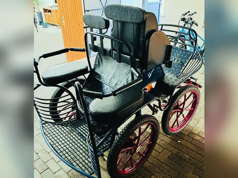 Kutsche Marathonwagen gebraucht