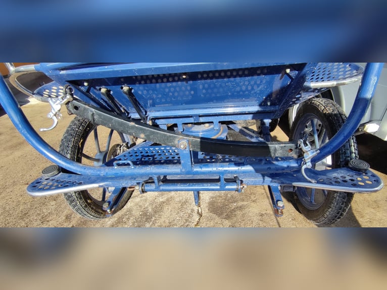 Pferde Kutsche in Top Zustand zu verkaufen - Unfallfrei