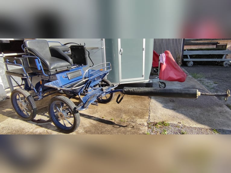 Pferde Kutsche in Top Zustand zu verkaufen - Unfallfrei