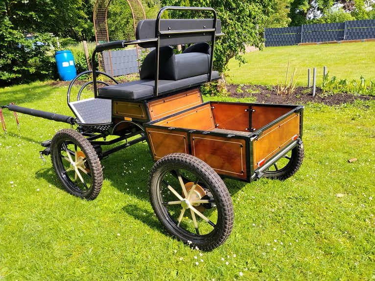 Shetty / Carrozza pony