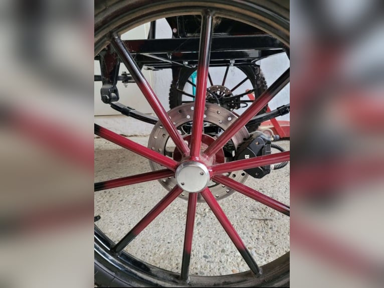 Vendo carrozza praticamente nuova