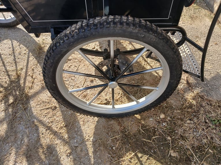 Carrozza a uno e due posti della marca Glinkowski!