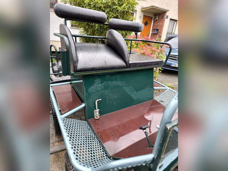 Carrozza, carrozza singola