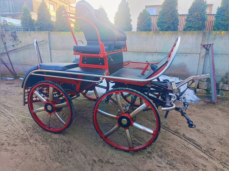 Carrozza da maratona per coppia