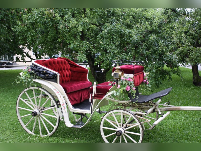 Carrozza da matrimonio elegante, a doppio traino, con tetto removibile, in buone condizioni