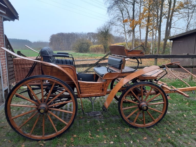 Carrozza da parata per matrimoni