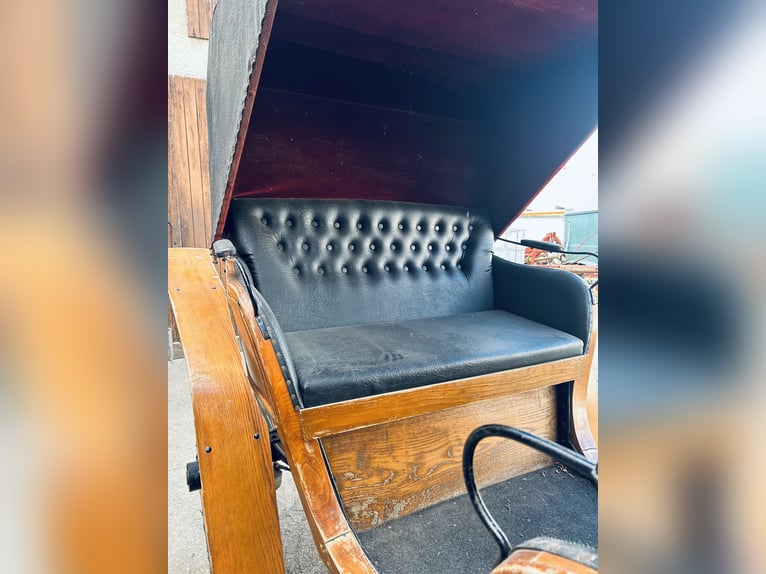 Carrozza di alta qualità con sei posti, rivestita in pelle e velluto, carrozza per cavalli