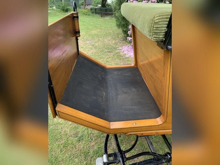 Carrozza nuziale per sei persone