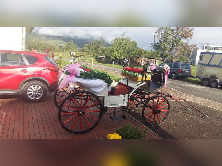 Carrozza storica completa di decorazioni