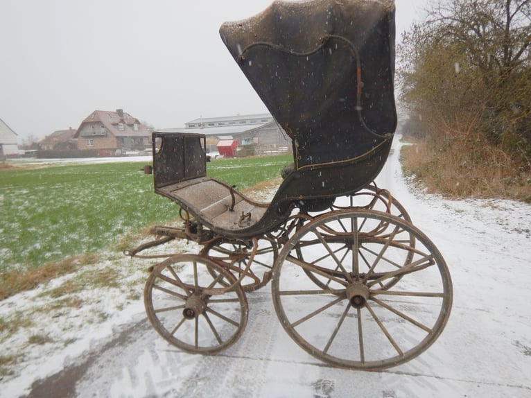 Carrozza storica Doktorwagen