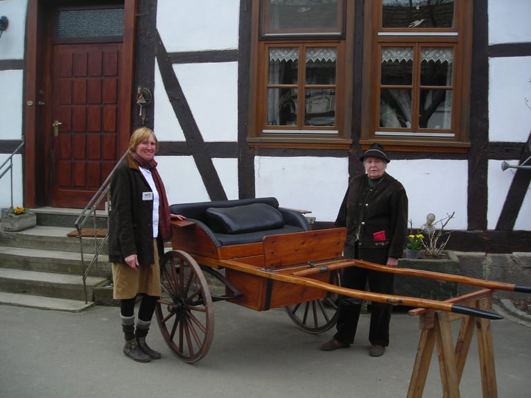 Carrozza storica per pony
