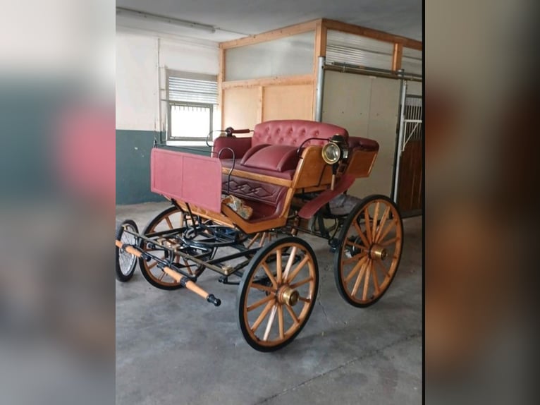 Carrozza trainata da due cavalli