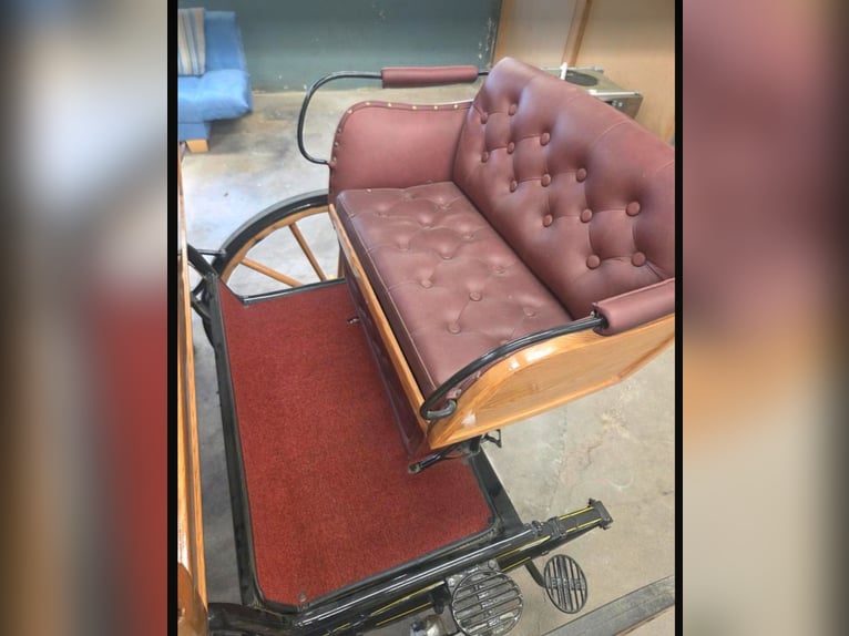 Carrozza trainata da due cavalli