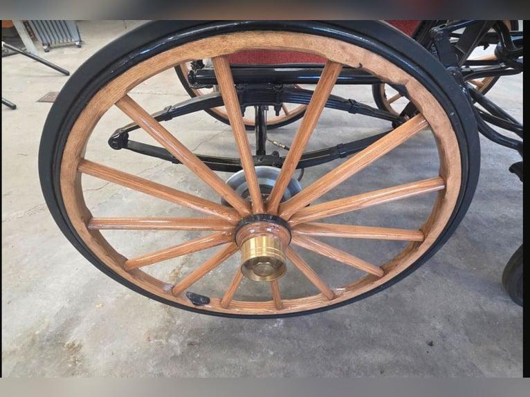 Carrozza trainata da due cavalli