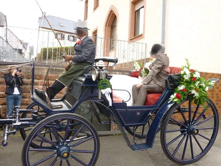 Carrozza Victoria