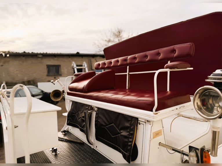 Carrozza vis-à-vis / Personalizzata su misura