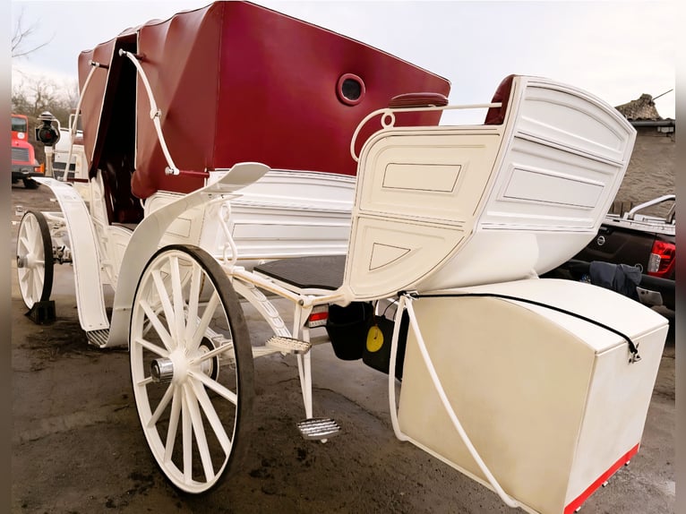 Carrozza vis-à-vis / Personalizzata su misura