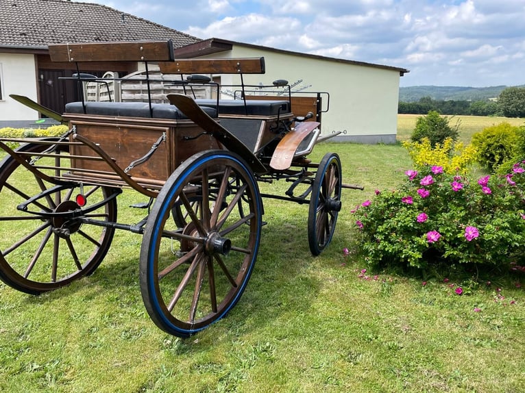 Historischer Jagdwagen/Kutsche 