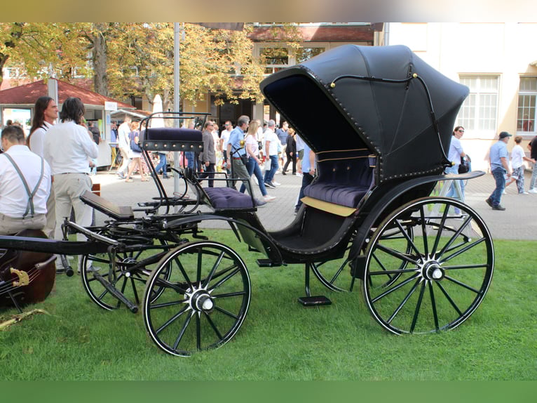 Viktoria Kutsche 1895 