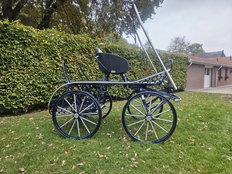 Enkelspan de laat marathonkoets