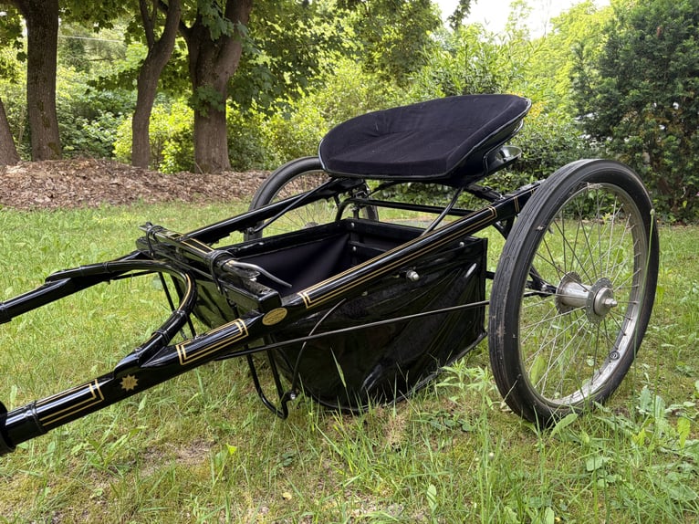 Carrello mostra
