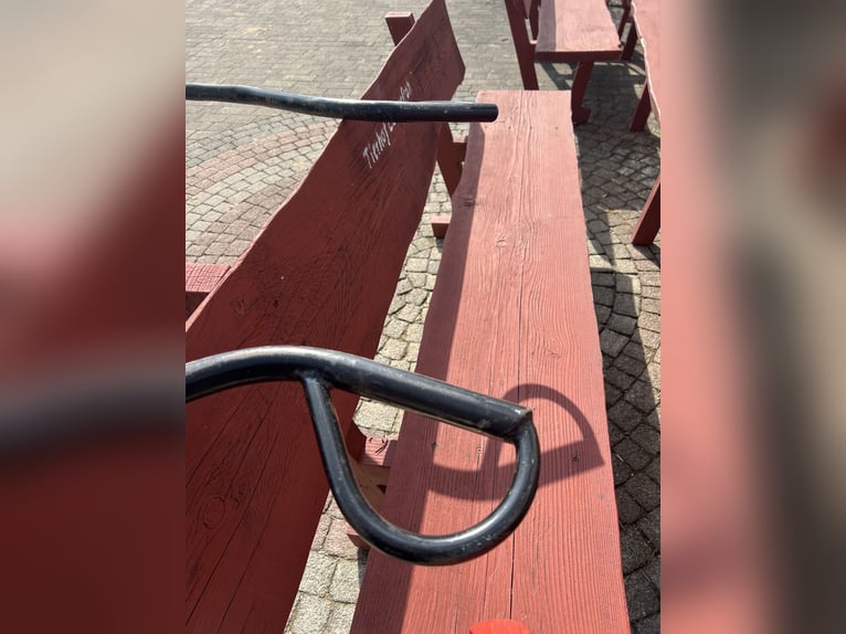 Ottimo cavallo da cross, marca KUBE’s Kutschenparadies