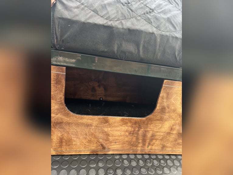 Ottimo cavallo da cross, marca KUBE’s Kutschenparadies