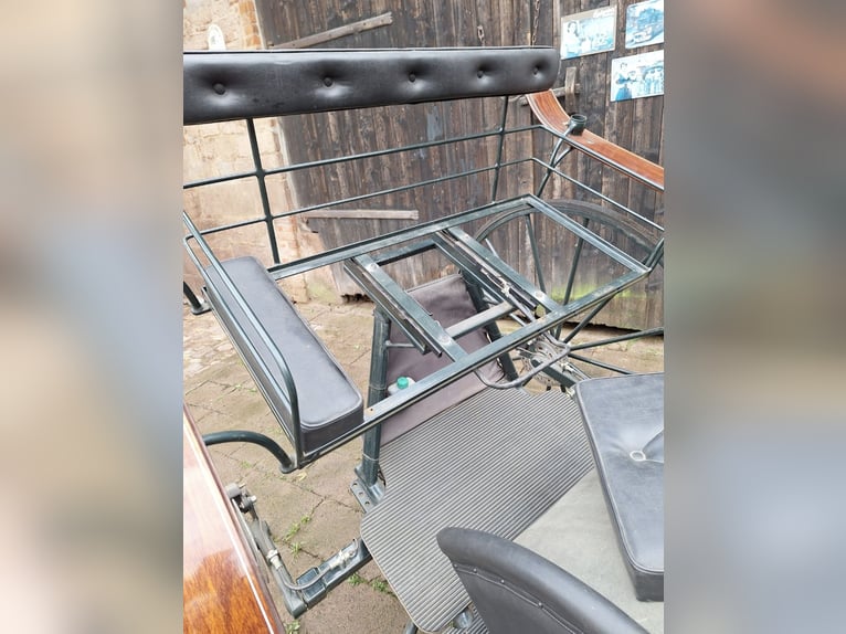 Splendido carro da corsa / carrozza / calesse