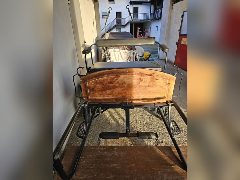 Vendo bellissimo cavallo da passeggio