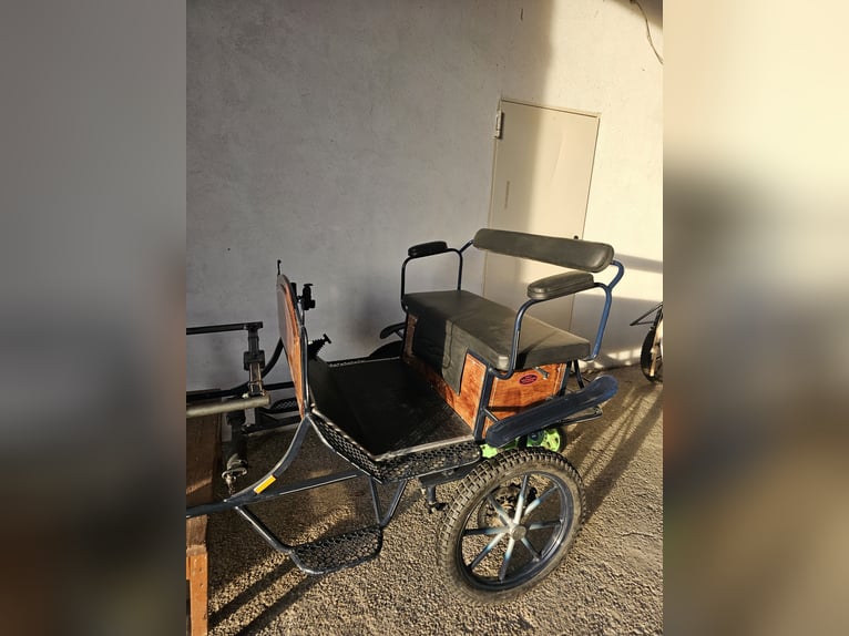 Vendo bellissimo cavallo da passeggio