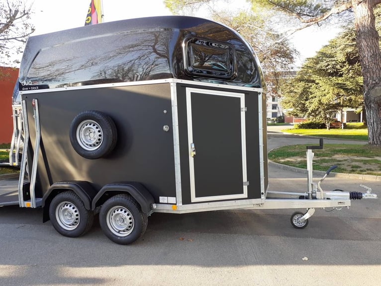 BOCKMANN DUO ESPRIT S+B Sellerie / Nuovo