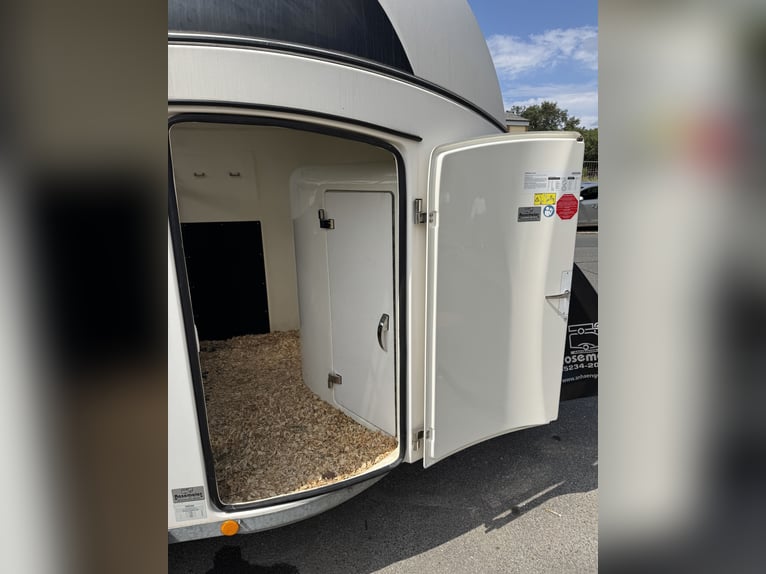 Carrello traino Böckmann Grand Master C22