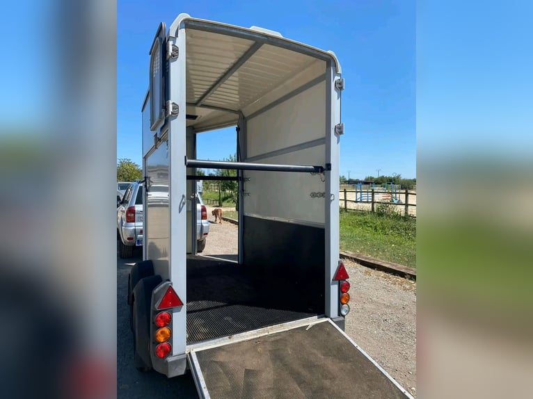 Carrozza per cavalli Ifor Williams HB 403