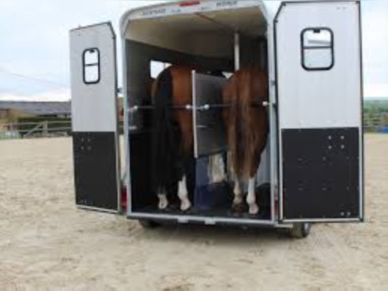 CL Touring Country: uscita frontale, equipaggiamento completo