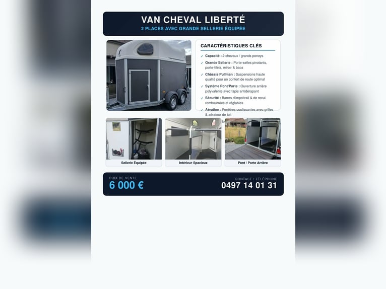 Liberty mare in vendita