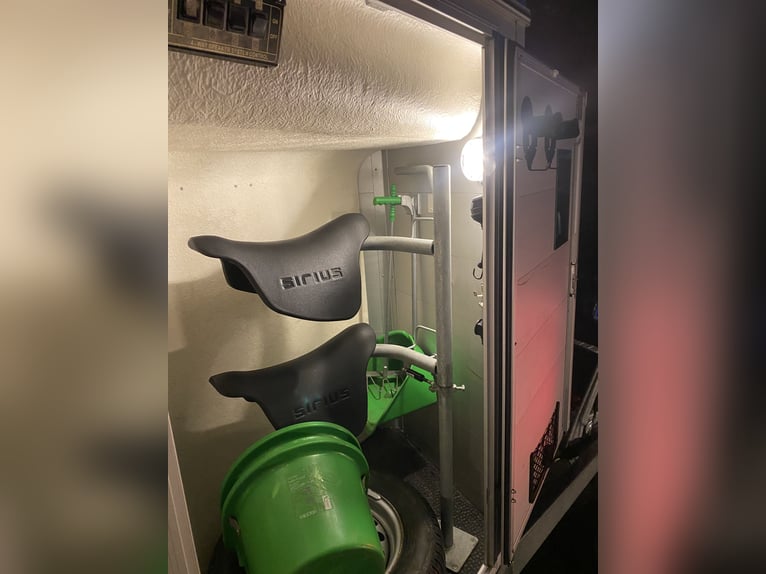 Sirius S75 carrozza per il trasporto di cavalli con numerosi optional, nuovo certificato TÜV e pneum