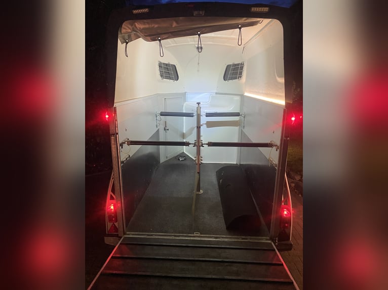 Sirius S75 carrozza per il trasporto di cavalli con numerosi optional, nuovo certificato TÜV e pneum
