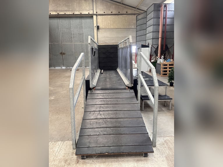 Horse Treadmill - Delivering Consistent Workouts for Equine Excellence!