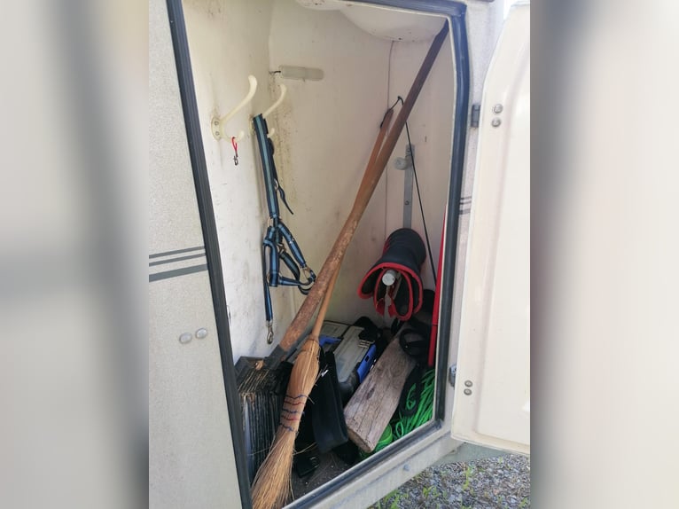 Carrello per 2 cavalli Böckmann Classic in plastica completa