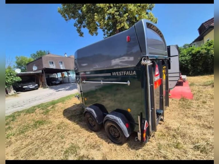 Carrozza portapacchi Westfalia 120 882