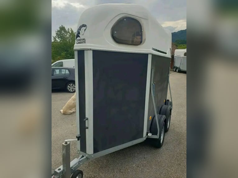 Cavallo con sella di libertà per 1,5 posti