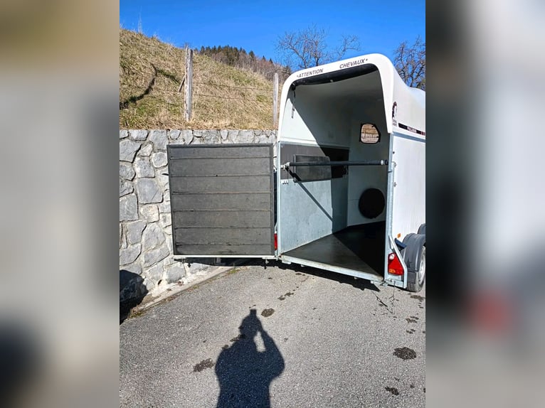 Cavallo Liberté Gold One, 1,5 posti