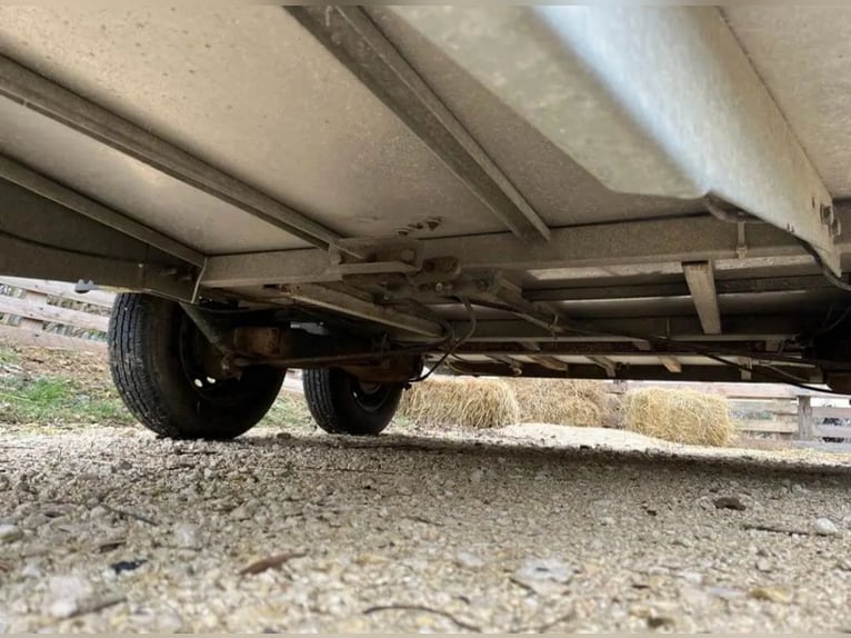 Cavallo Liberté verde 2002, lunghezza 200 cm