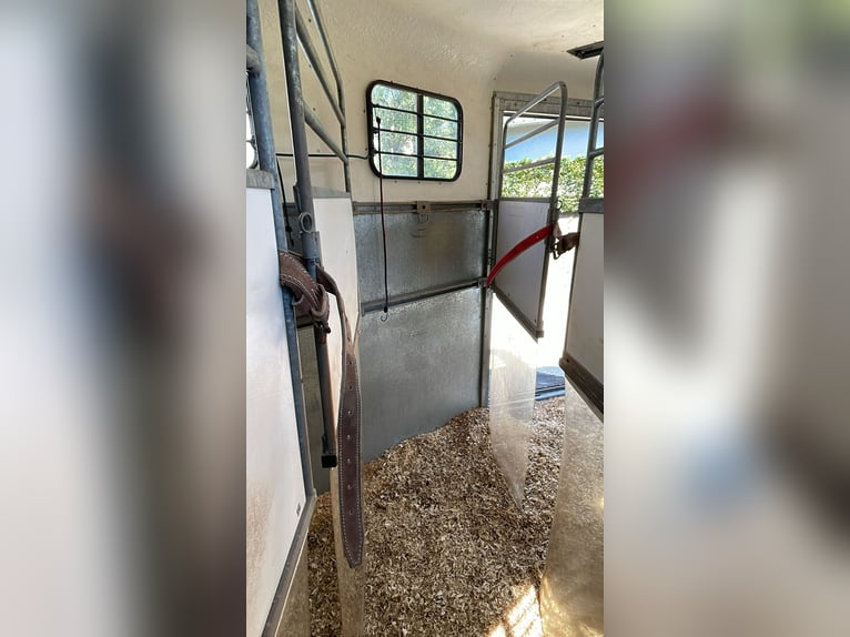 Fautras Promax 3 rimorchio per cavalli, a diagonale