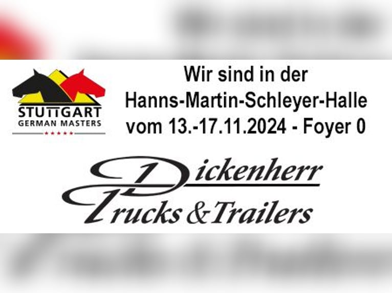 Pferdetransporter Pferdeanhänger DT Trailer 3 Pferde mit Großer Sattelkammer Paardentrailer Anhänger